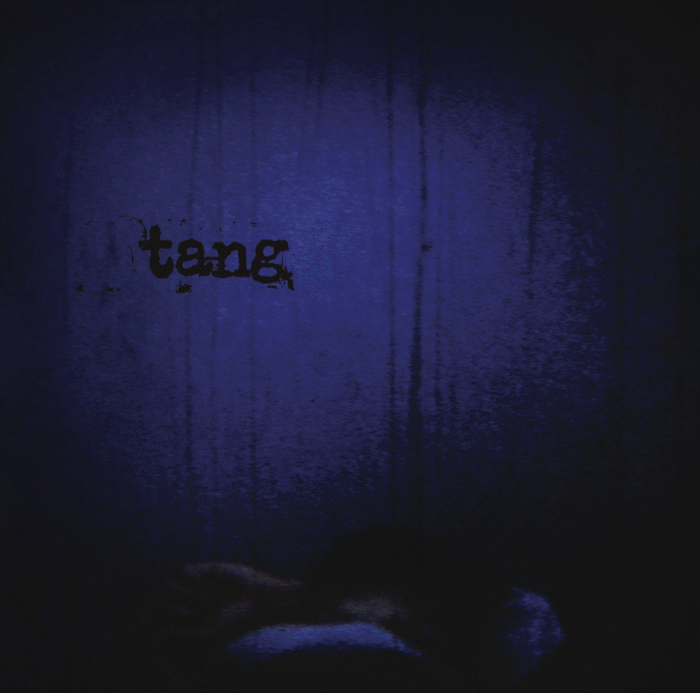 TANG - This Quietness Booms About On The Walls Like Birds In Panic - Gatefold LP
