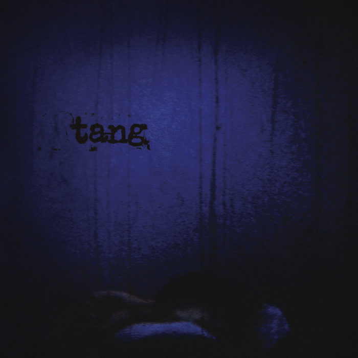 TANG - This Quietness Booms About On The Walls Like Birds In Panic - Gatefold LP