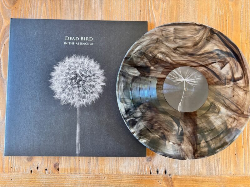 DEAD BIRD - In The Absence Of - 12" – Image 2